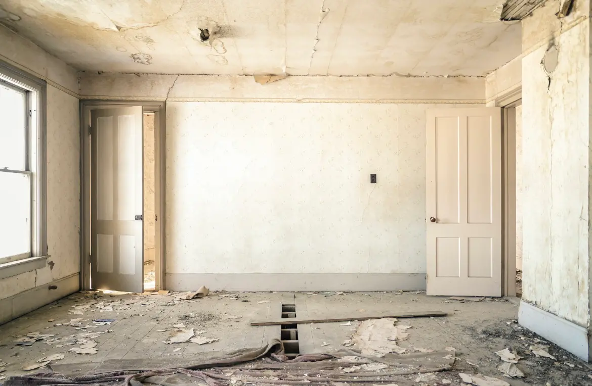 Waste disposal crew managing a cleanout project in Zephyrhills North